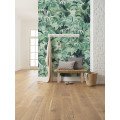 Evergreen - Thumbnail View 1