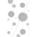Allium - Thumbnail View 1