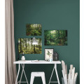 Green Lungs - Thumbnail View 1