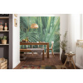 Foggy Fern - Thumbnail View 1