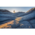 Elephant Skin - Thumbnail View 1