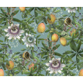 Bellezza - Thumbnail View 1