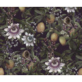 Mezzanotte - Thumbnail View 1