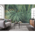 Foggy Fern - Thumbnail View 1