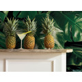Tropical Wall - Thumbnail View 1