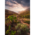 Warmes Licht - Thumbnail View 1