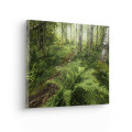 Green Lungs - Thumbnail View 1
