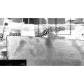 Infinity Prancing white - Thumbnail View 1