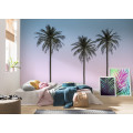Palm Sunset - Thumbnail View 1