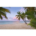 Paradise Morning - Thumbnail View 1