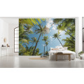 Coconut Heaven  - Thumbnail View 1