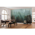 Foggy Firs - Thumbnail View 1