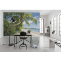 Fiji Dreams Boat  - Thumbnail View 1