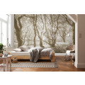 Bleached Birch - Thumbnail View 1