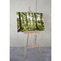 Dänische Buchen - Thumbnail View 1