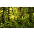 Ancient World - Thumbnail View 1