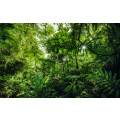 Into the Jungle - Thumbnail View 1