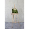Mystic Birch Grove - Thumbnail View 1