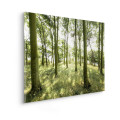 Green Lungs - Thumbnail View 1