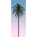 Skyhigh - Thumbnail View 1