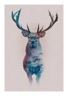Animals Forest Deer