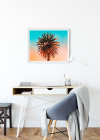 Palm Tree