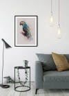 Animals Paradise Parrot