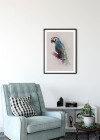 Animals Paradise Parrot
