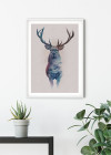 Animals Forest Deer