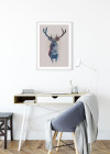 Animals Forest Deer