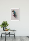 Animals Paradise Parrot