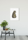 Cute Animal Bear