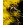 Loki Yellow Dust - Thumbnail View 1