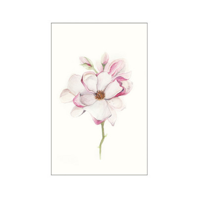 Magnolia Blossom