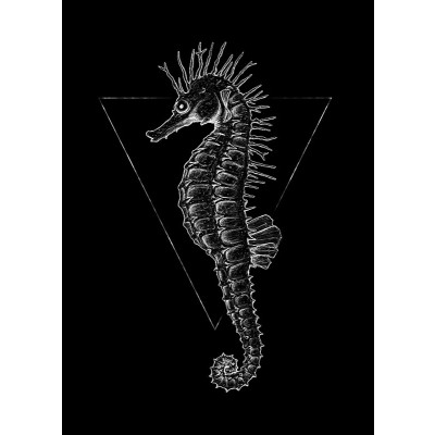 Sea Horse Black