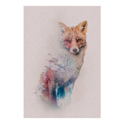 Animals Forest Fox