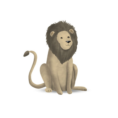 Cute Animal Lion