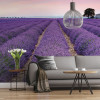 Provence - View 1