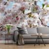 Spring - View 1