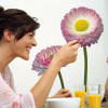 Daisy - View 1