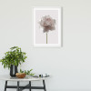 Rose - View 1