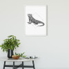 Iguana White - View 1