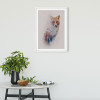 Animals Forest Fox - View 1