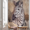 Zebra - View 1