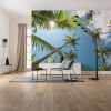 Coconut Heaven II  - View 1