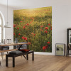 Poppy World I - View 1