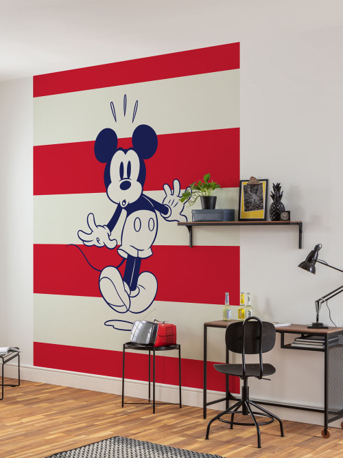 Mickey Vibrant - Slider Item - View 1