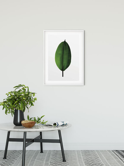 Ficus Leaf - Slider Item - View 1