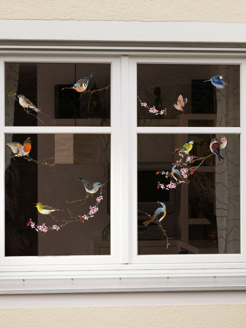Birds - View 1