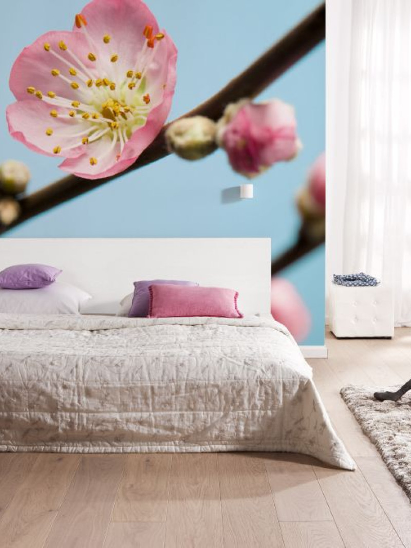Peach Blossom - View 1